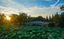 莫愁湖景区13