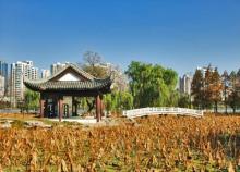 莫愁湖景区7