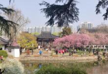 莫愁湖景区28