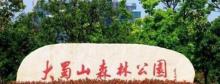 蜀山森林公园26