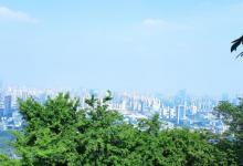 蜀山森林公园23