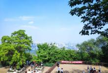 蜀山森林公园24