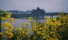 黎阳老街19
