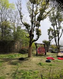 汤山紫清湖旅游区14