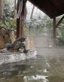 汤山紫清湖旅游区20