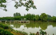 大纵湖12