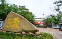 大纵湖15