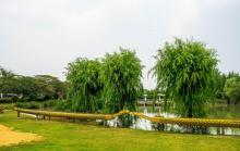 大纵湖9