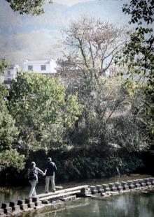 菊径村9