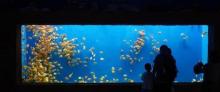 金牛湖野生动物王国20