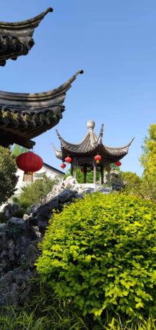 愚园19