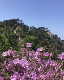 花台景区12