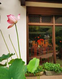 花台景区18