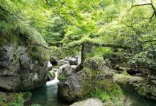 仙寓山景区27