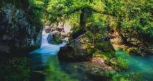 仙寓山景区8