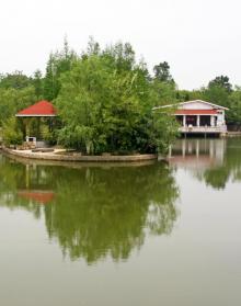 合肥植物园4