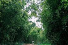 合肥植物园13