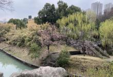 徽园21