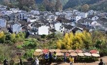 石城14