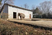合肥野生动物园11