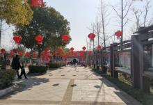 合肥野生动物园10