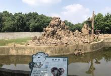 合肥野生动物园17