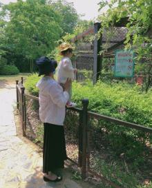 合肥野生动物园20