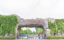 合肥野生动物园4