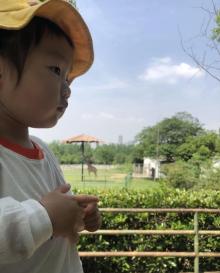 合肥野生动物园19