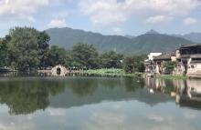 月沼18