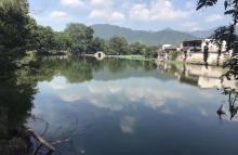 月沼19