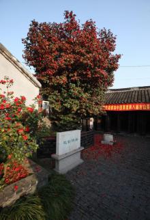溱潼古镇7