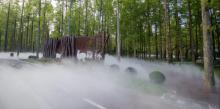 黄海森林公园10