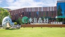 黄海森林公园21