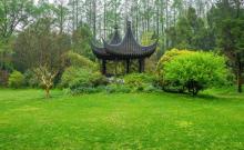南京中山植物园26