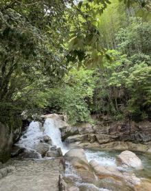 大鄣山卧龙谷13