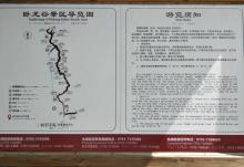 大鄣山卧龙谷19