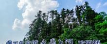 水墨上河25