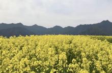 木梨{25