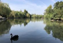 茱萸湾风景区28