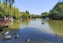 茱萸湾风景区7
