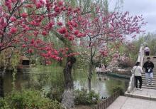 茱萸湾风景区10