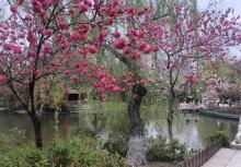 茱萸湾风景区9