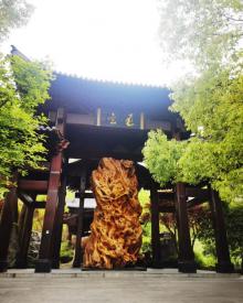 根宫佛国文化旅游区28