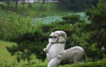 汉广陵王墓博物馆6