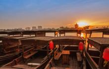 溱湖国家湿地公园16