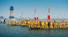 溱湖国家湿地公园5