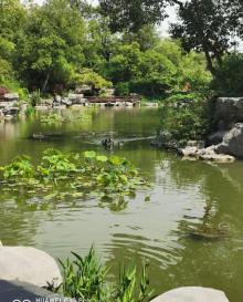 瘦西湖温泉度假村21