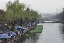 溪公园11