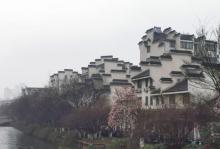 溪公园8